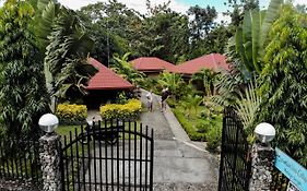 Mountain View Cottages